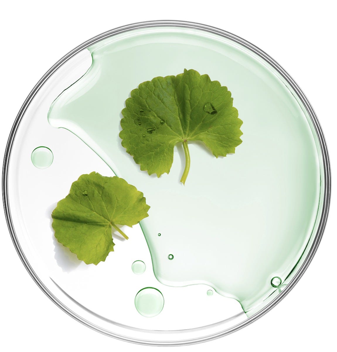 Mizon Cicaluronic Water Fit Mask 24 g