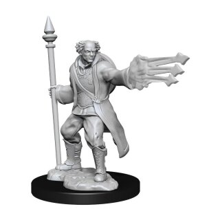D&D Nolzur's Marvelous Miniatures - Multiclass Cleric & Wizard Male