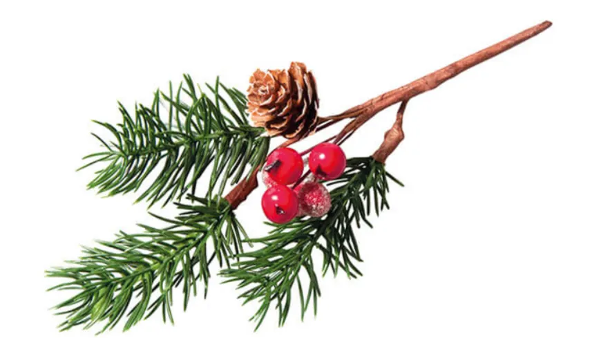 Rayher Deko Zweig mit roten Beeren 18 cm