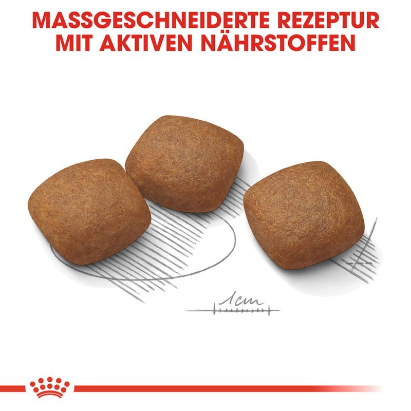 Royal Canin Maxi Joint Care zu TOP-Preisen
