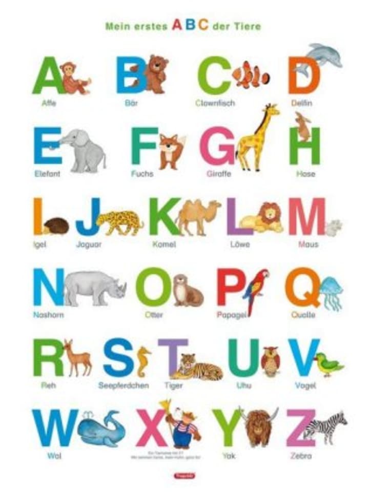 Spielend Lernen Nonbook - Fragenbär-Lernposter: Mein erstes ABC der Tiere (in der Schulbuc günstig kaufen onesize