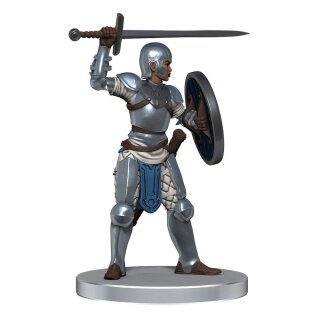 D&D Icons of the Realms: Kalaman Military Warband (pre-painted)