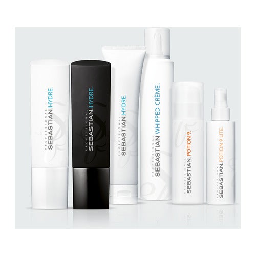 Tratamento Sebastian Hydre 500 ml