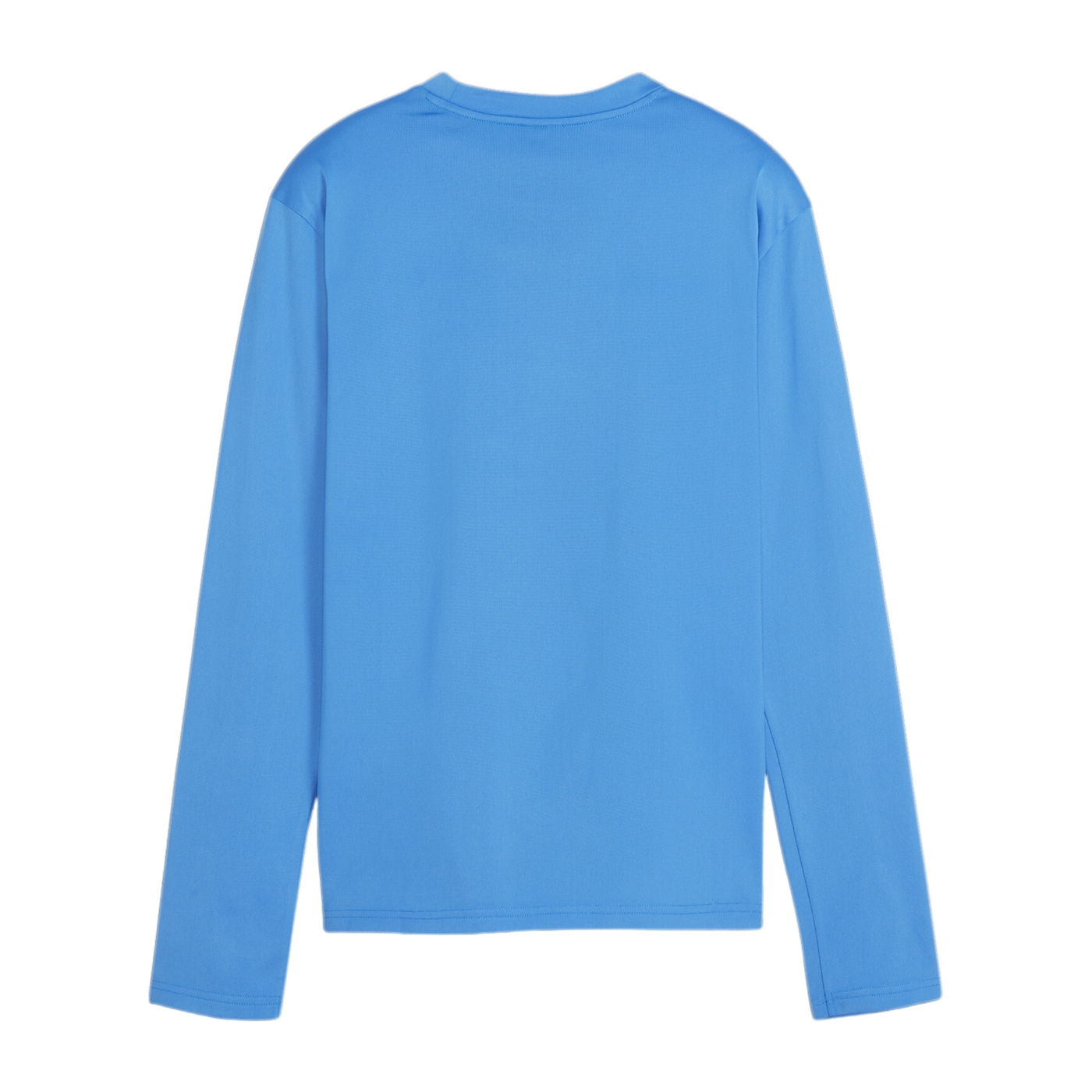PUMA teamGOAL Training Sweatshirt Damen Blau F01