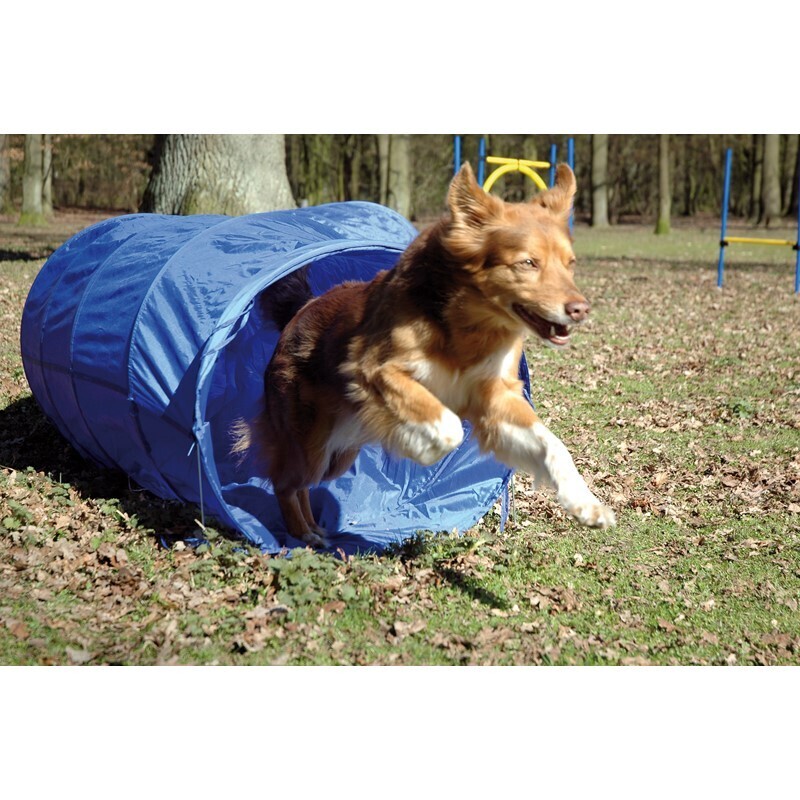 Dobar Agility & Training Dobar Agility tunnel, 60 x 500 cm