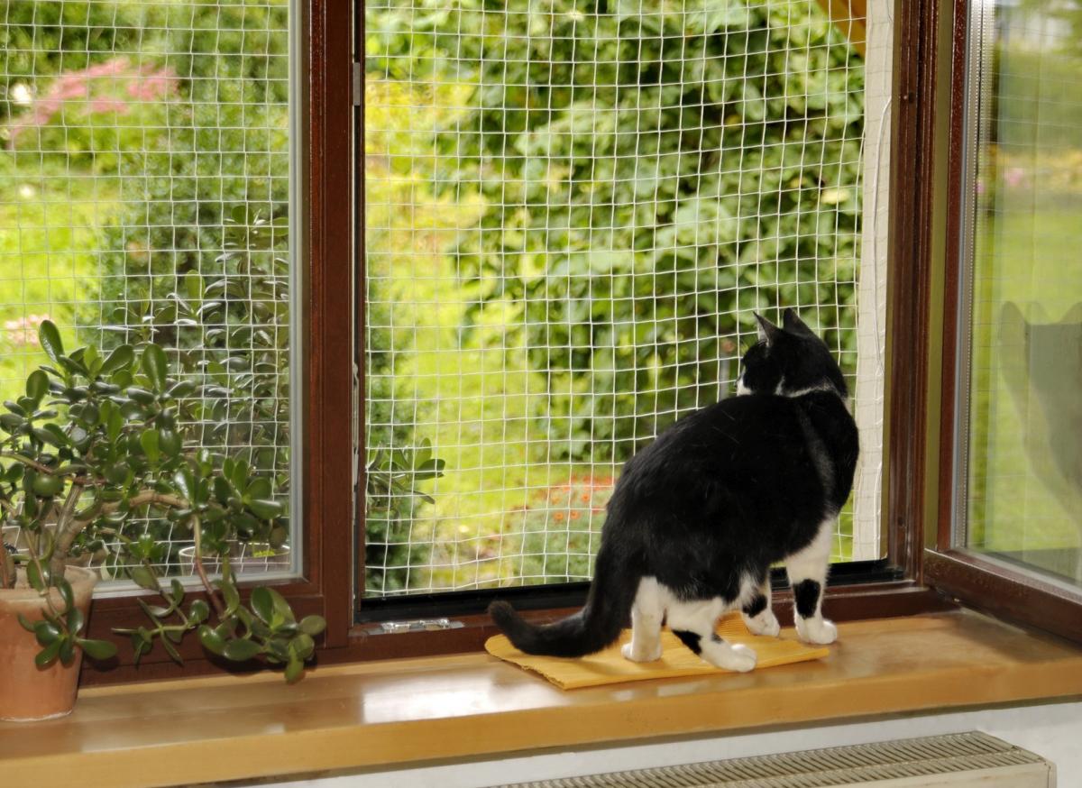 Rohrschneider Katzen Sicherheitsnetz 2x2 m
