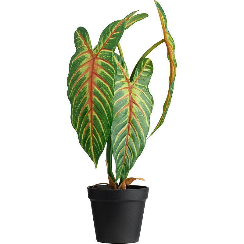 Home Xanthosoma plante 50 cm kunstig