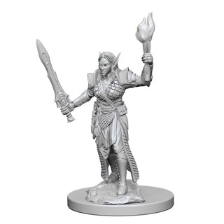 Elf Female Fighter: Pathfinder Deep Cuts Unpainted Minis