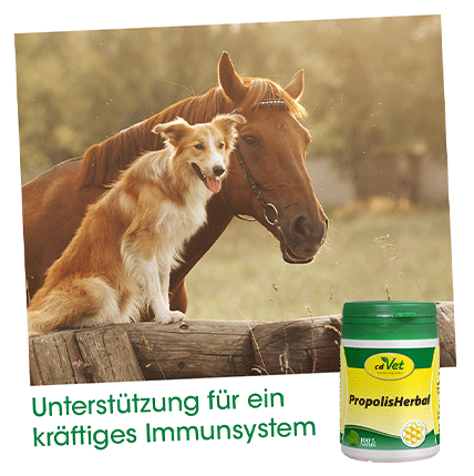 cdVet Ergänzungsfutter & Aufzucht cdVet PropolisHerbal 20g 45 g