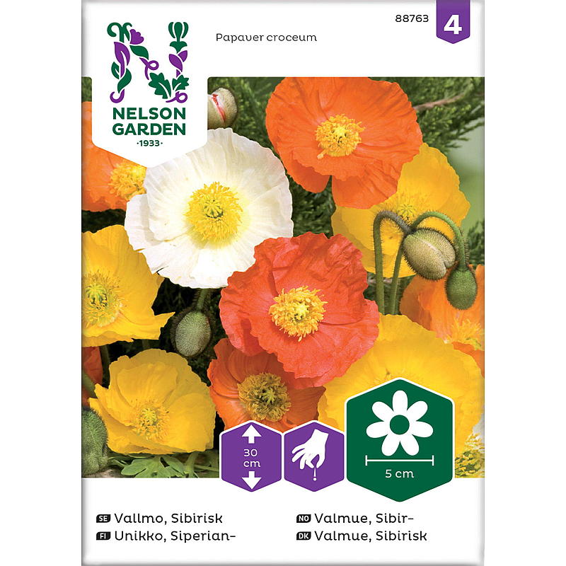 Nelson garden Frø Valmue Sibir-, blandede farger