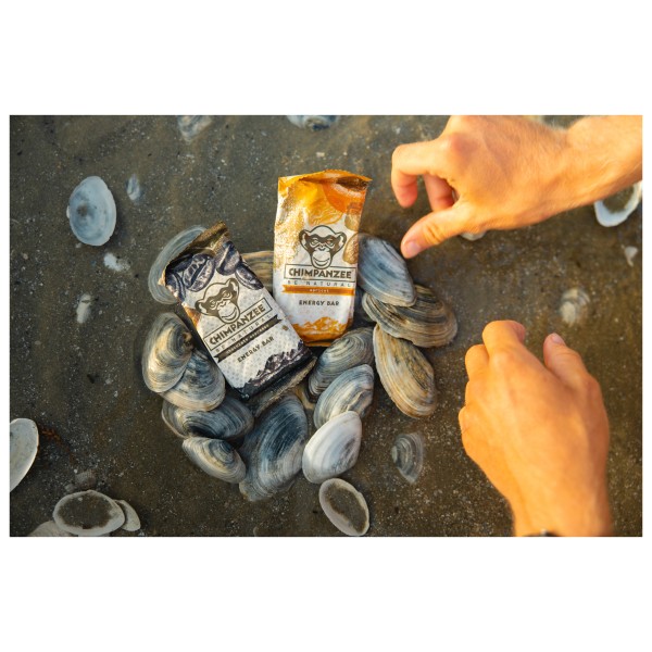 Chimpanzee - Energy Bar Rasin / Walnut - Energieriegel