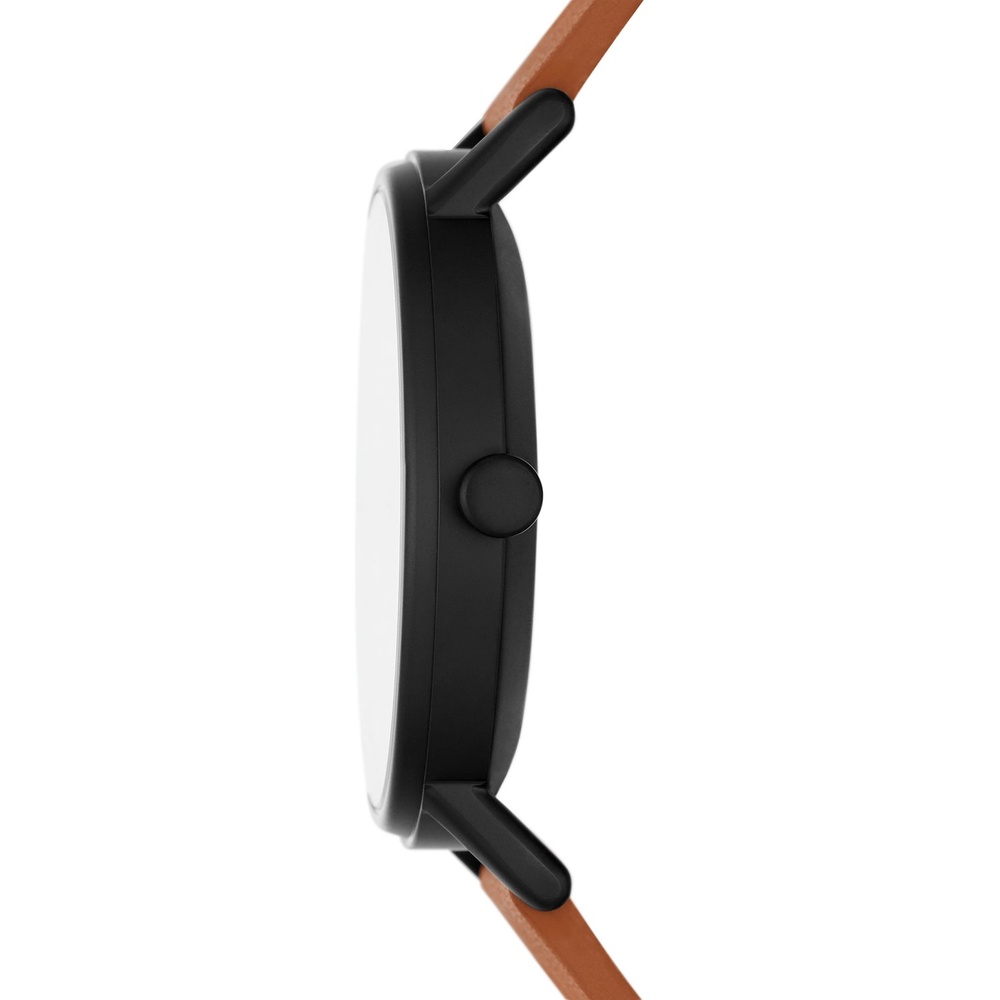 Skagen Montre pour hommes Acier inoxydable Montre