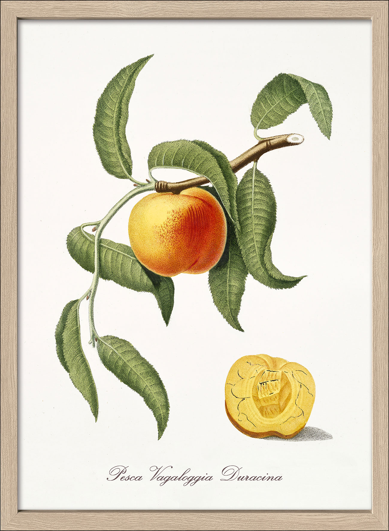 Pro ArtKunstdruck gerahmt 75x55cm