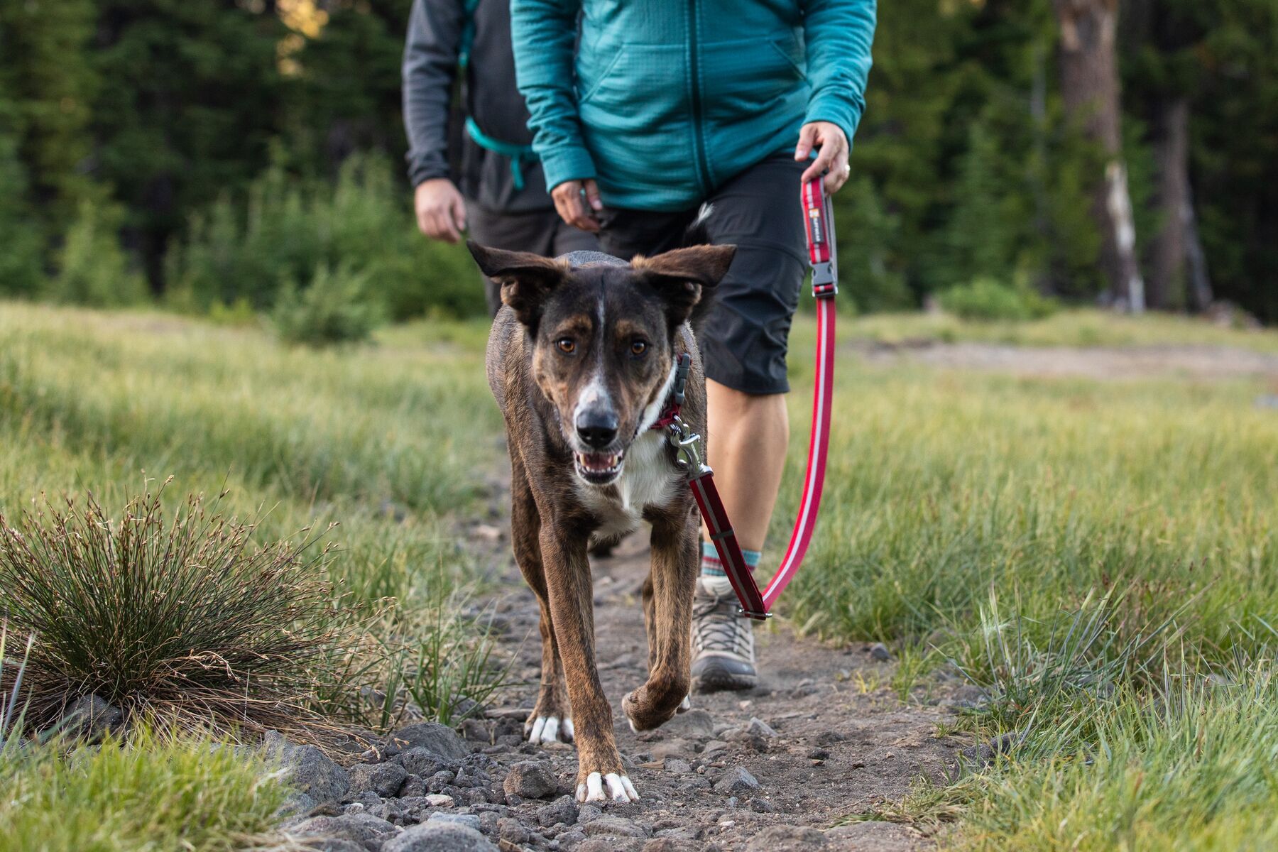 Ruffwear Hundeleinen Ruffwear Crag™ Leine rot