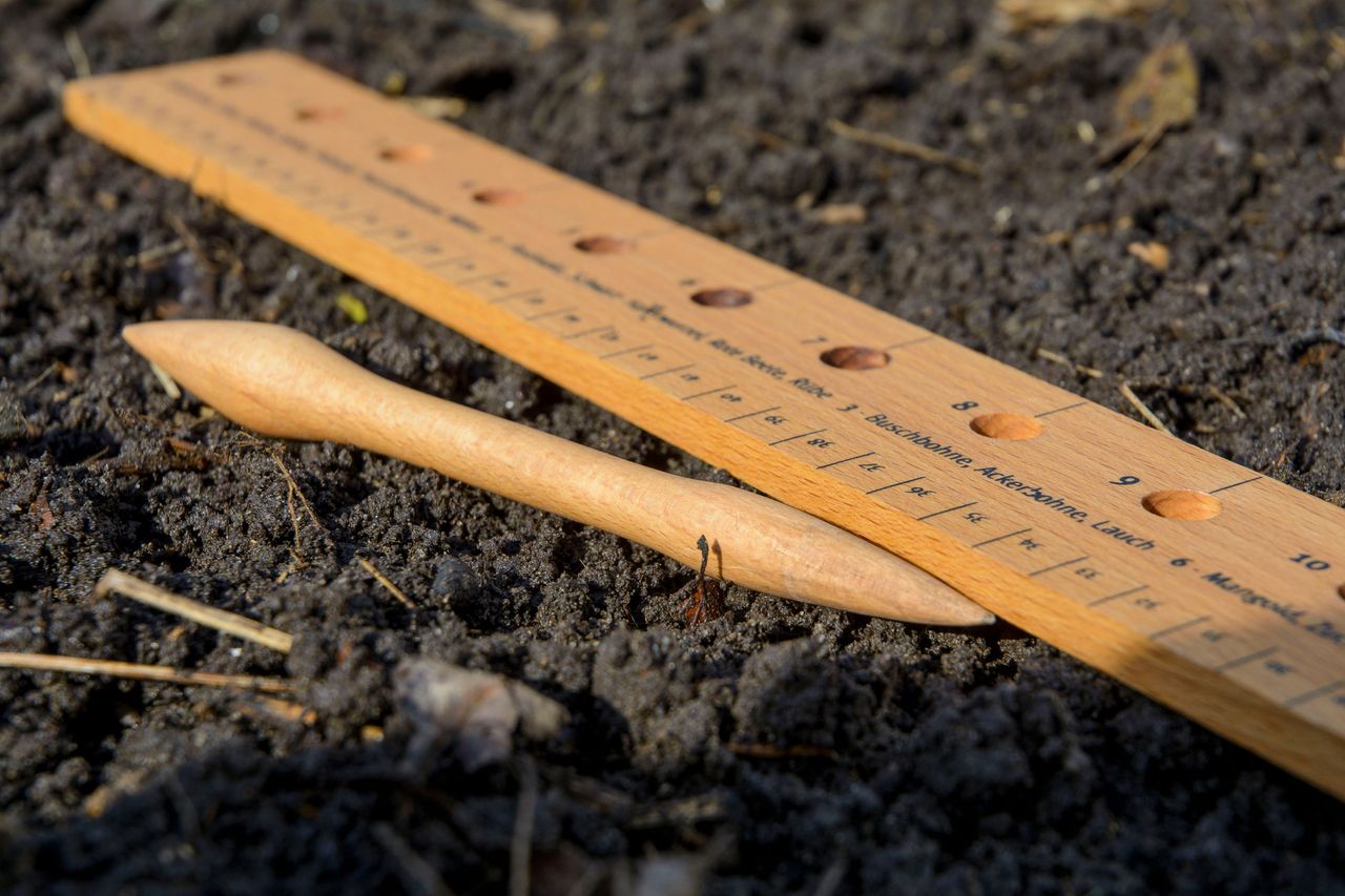 dobar Pflanzen-StarterSet aus Buchenholz