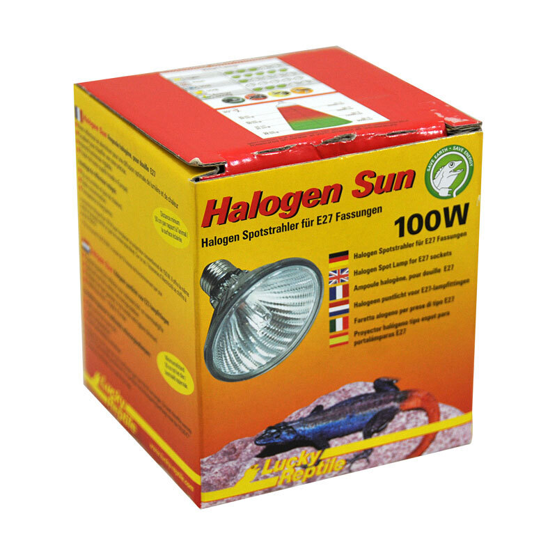 Lucky Reptile Beleuchtung Lucky Reptile Halogen Sun 100 W