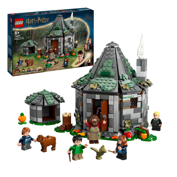 Harry Potter™ Hagrids Hütte: Ein unerwarteter Besuch 76428
