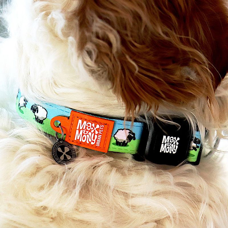Max & Molly Smart ID Halsband Black Sheep zu TOP-Preisen | bitiba