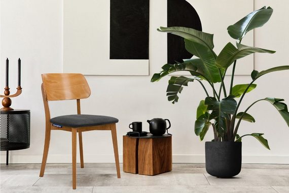 Konsimo Holzstuhl VINIS Esszimmer Stühl Küchenstühl Wohnzimmerstühl Polsterstühl Eiche (Esszimmerstühl, 2 St), Velours-Sitz, Gestell aus Massivholz