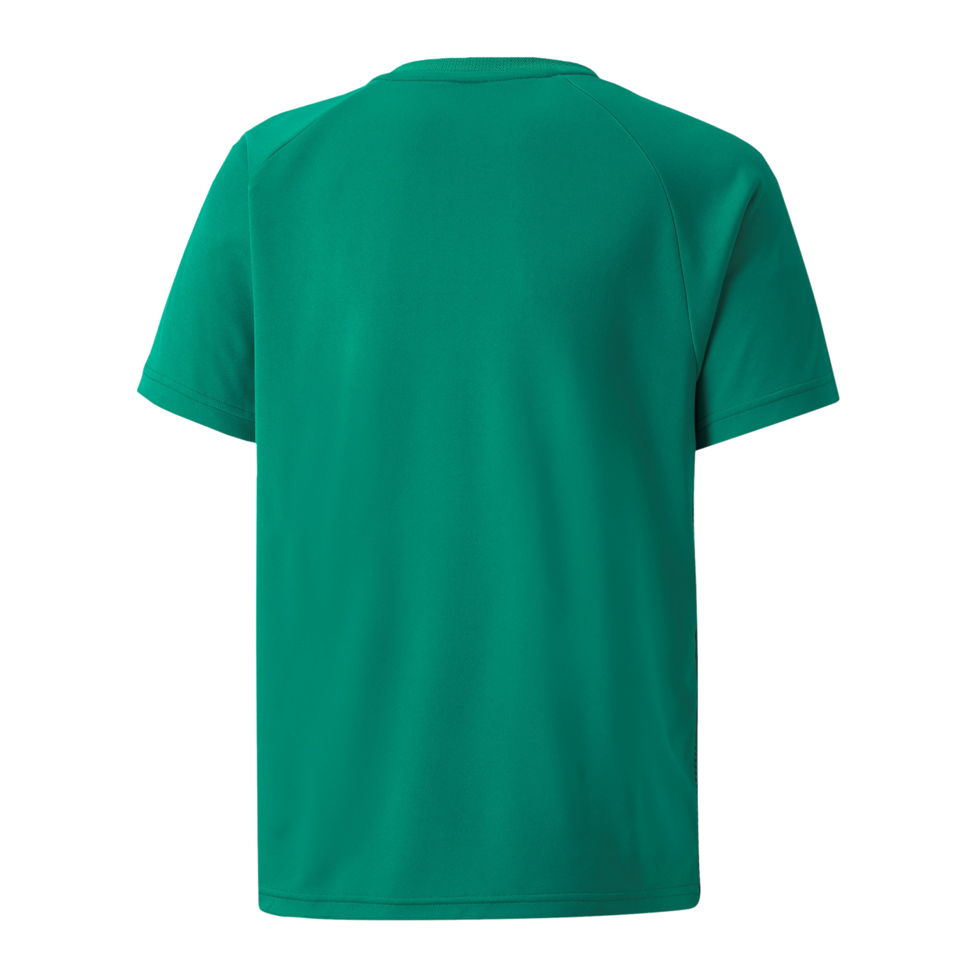 PUMA teamLIGA Striped Trikot Kids Grün Schwarz F05