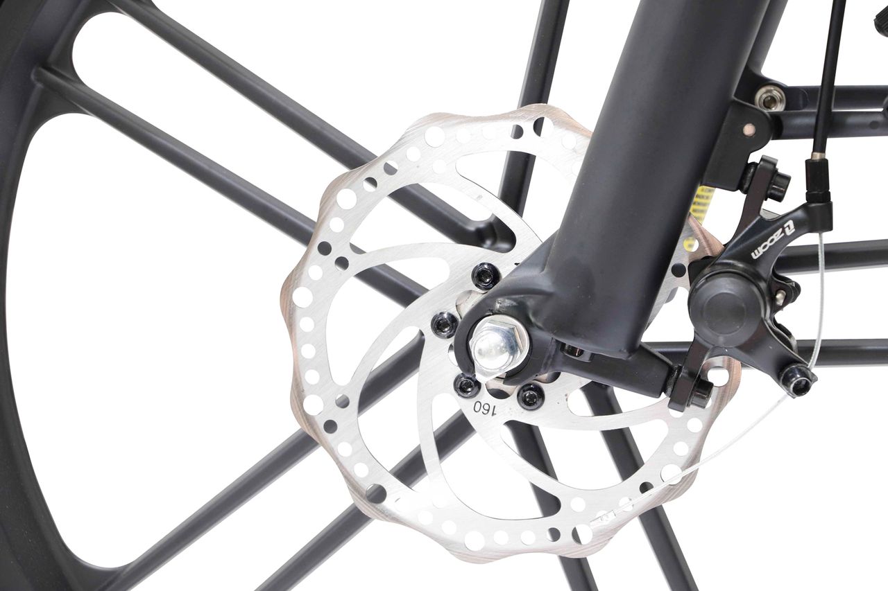 LLobe Falt E-Bike 20