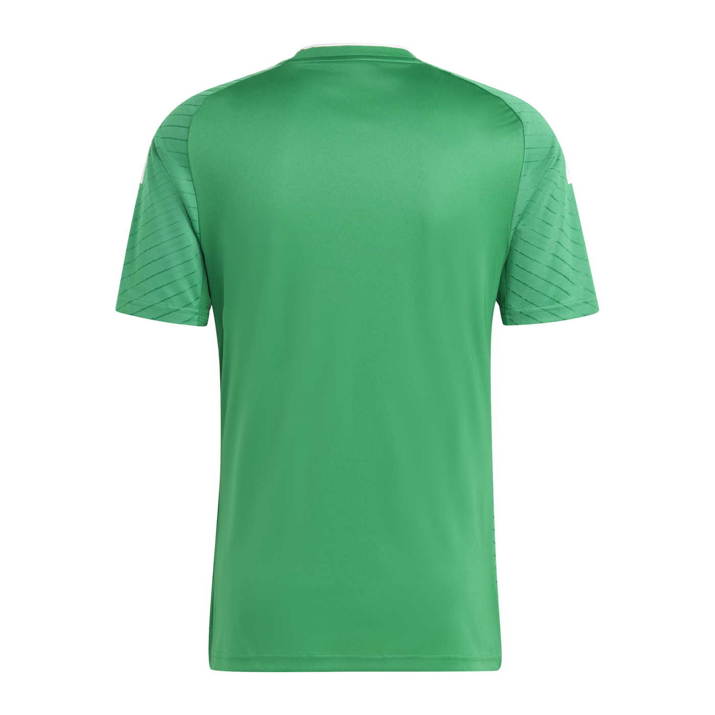adidas Campeon 23 Trikot Grün