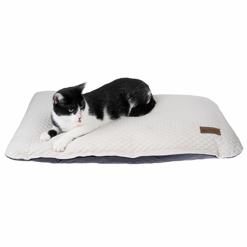 Modern Living Kuschelkissen Brindisi zu TOP-Preisen