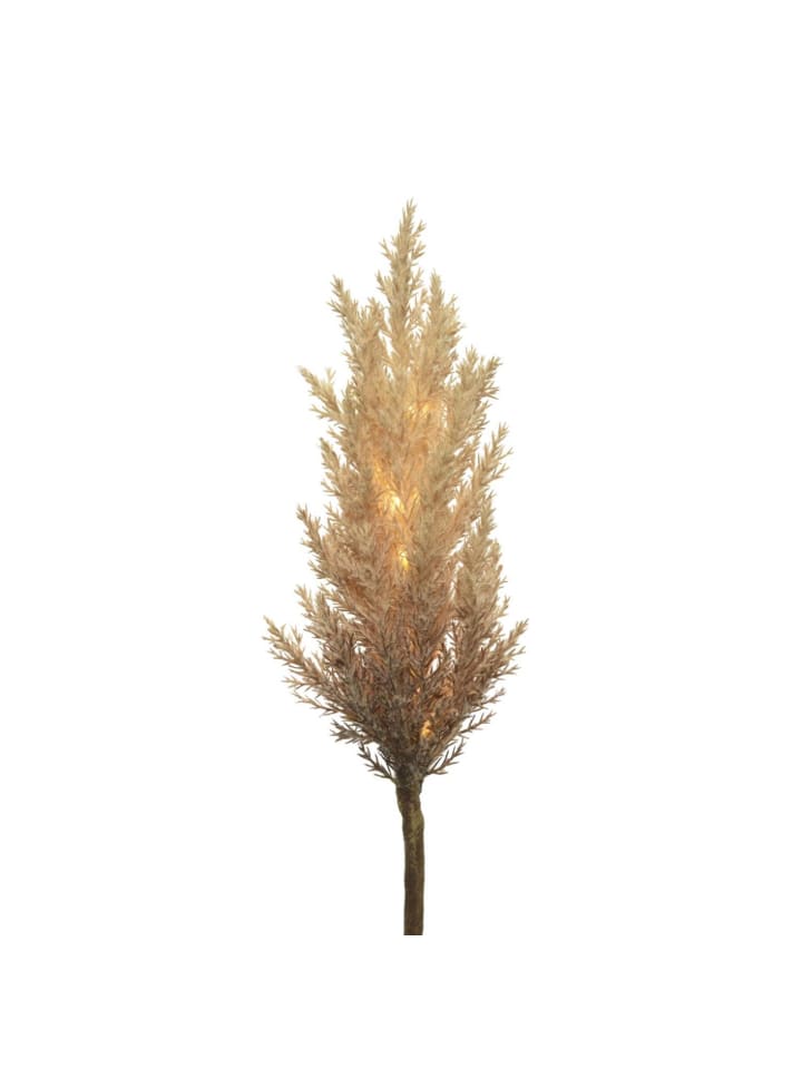 MARELIDA LED Zweig Pampasgras leuchtend Dekozweig H: 70cm in braun günstig kaufen onesize