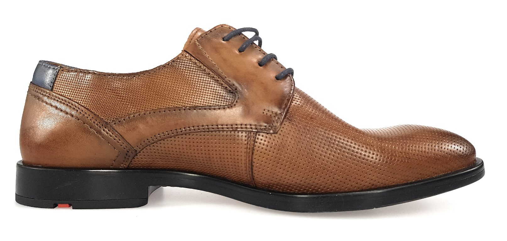 Lloyd Kelson 11-352-33 Braun nocel/parcific