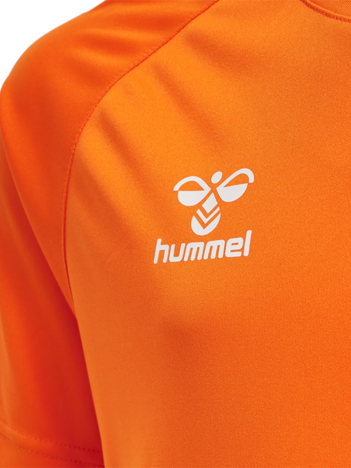 Hummel Hummel T-Shirt Hmlcore Kinder in ORANGE TIGER günstig kaufen