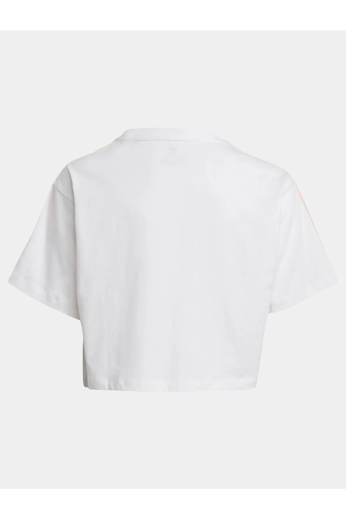 adidas  Damen adidas Crop T-Shirt Kinder