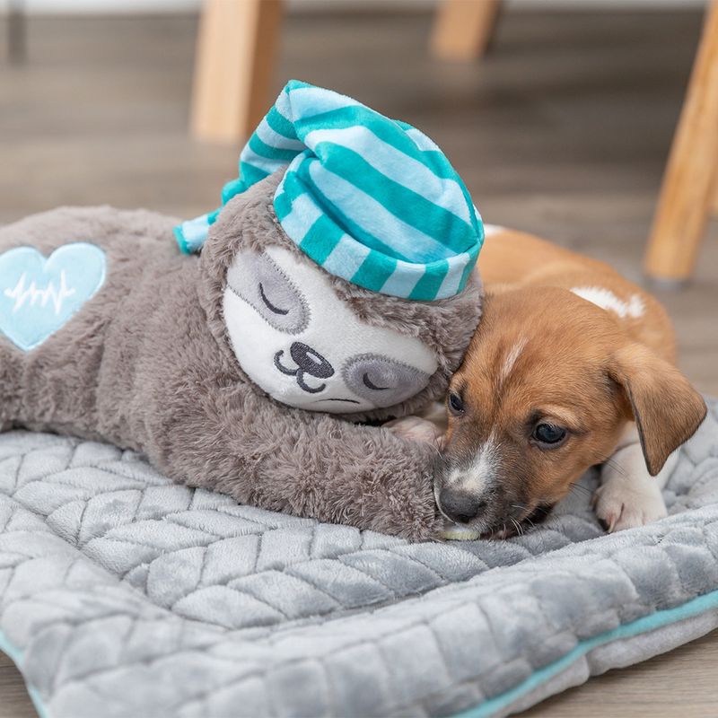 Trixie Junior Hundespielzeug Faultier zu TOP-Preisen | bitiba.de