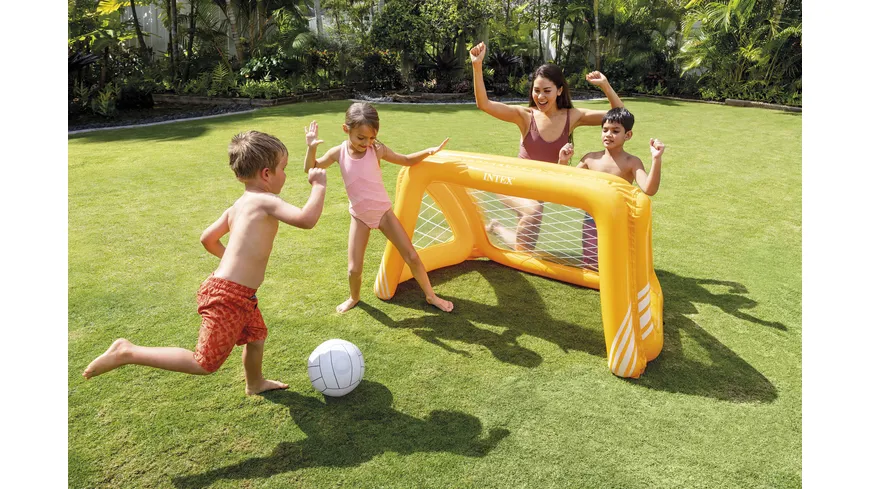 Intex - Fun Goals Game
