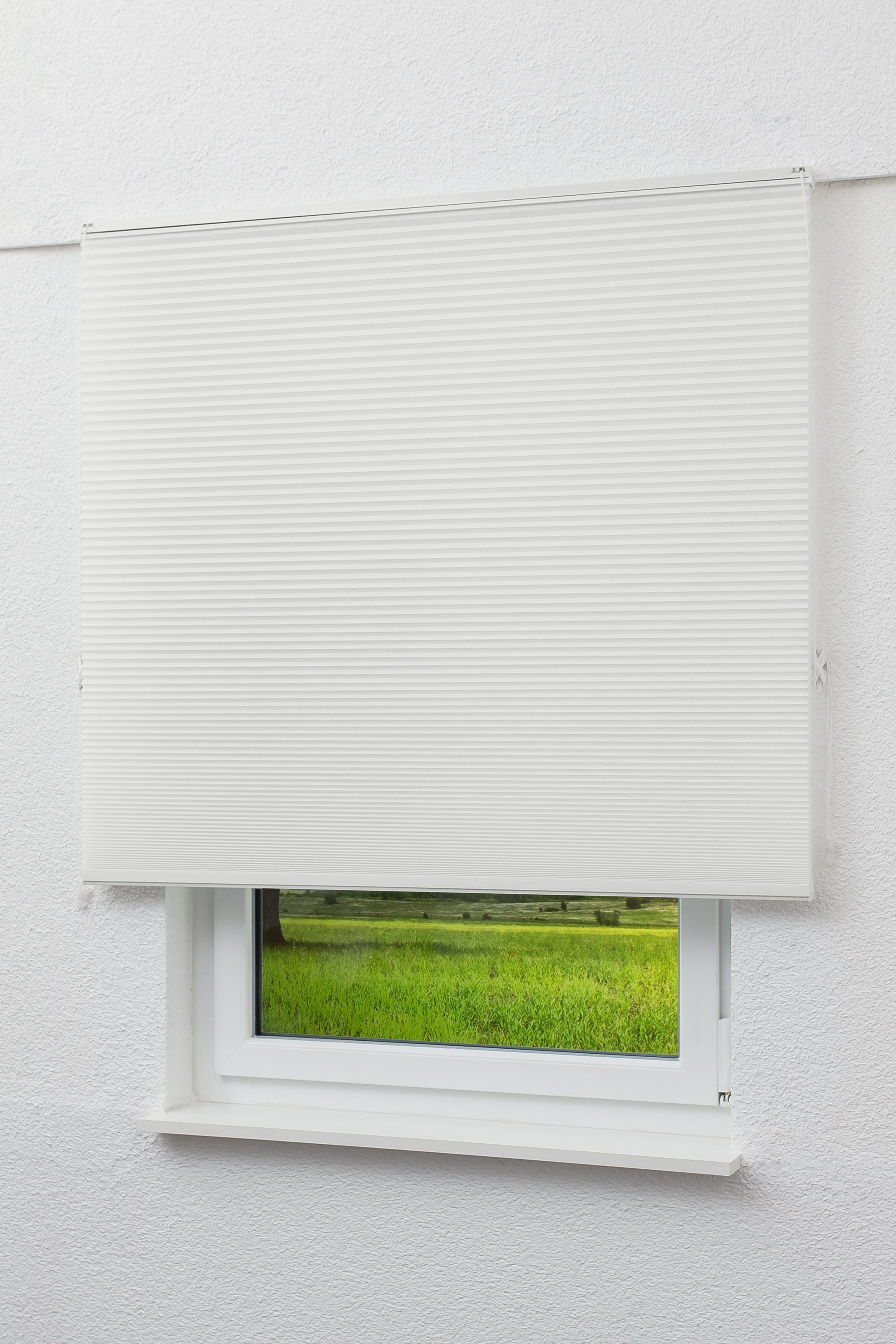 Plissee waben up&down, LYSEL®, blickdicht, HxB 130x40cm