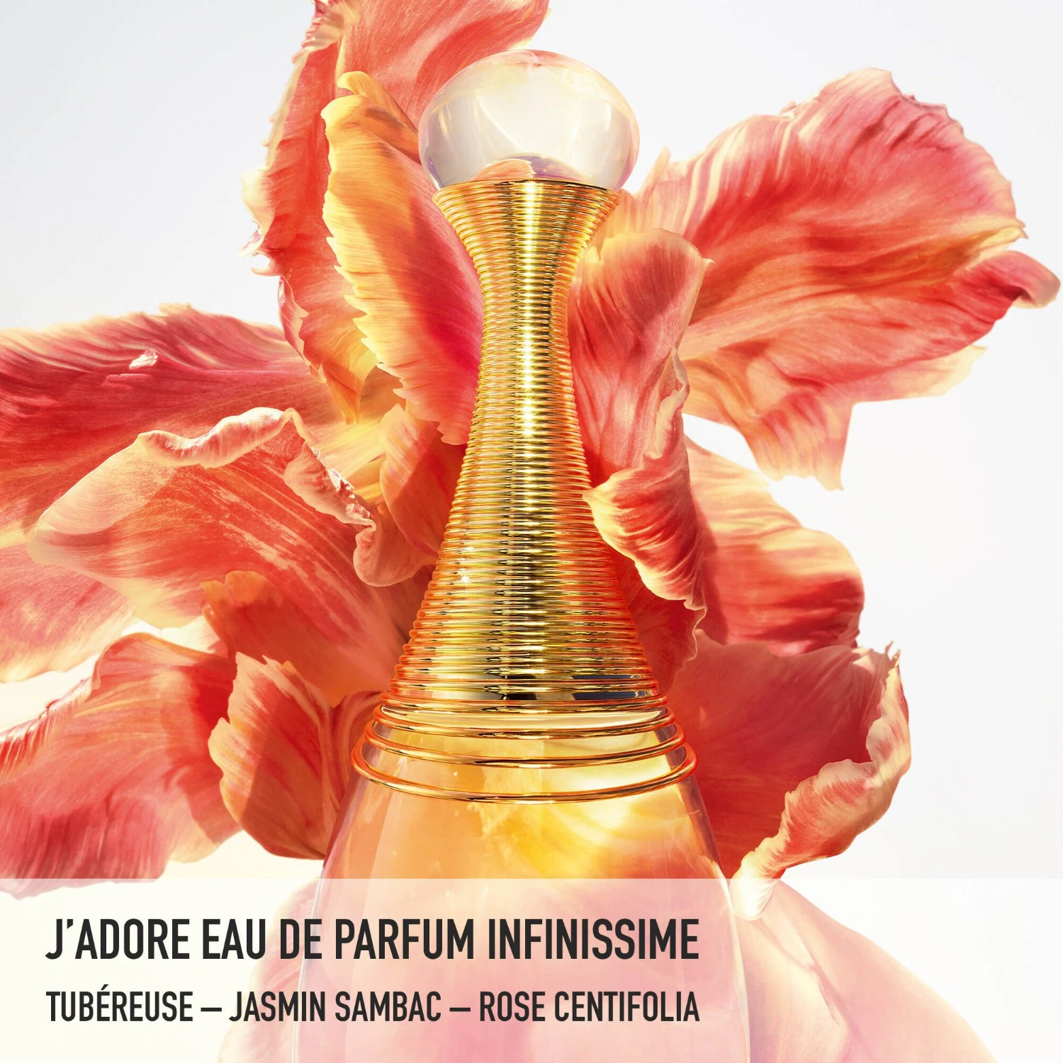 DIOR Infinitissime - Цитрусне, цветне и дрвенасте ноте