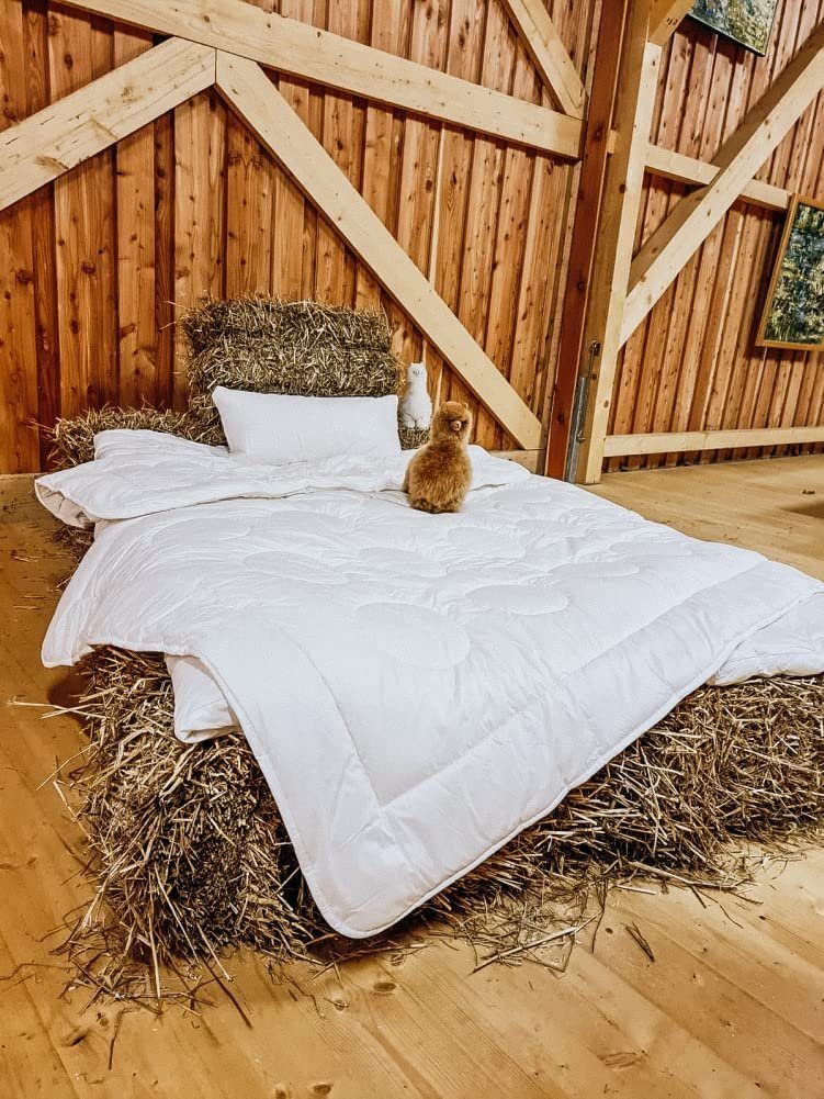 Baumwollbettdecke, Alpaka Sommerdecke, 155 x 220 cm, soma, +GRATIS Alpaka Wanderung bei golden Alpace
