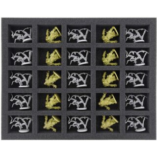 Feldherr 35 mm Full-Size Schaumstoff mit 25 großen Fächern für Zombicide Green Horde