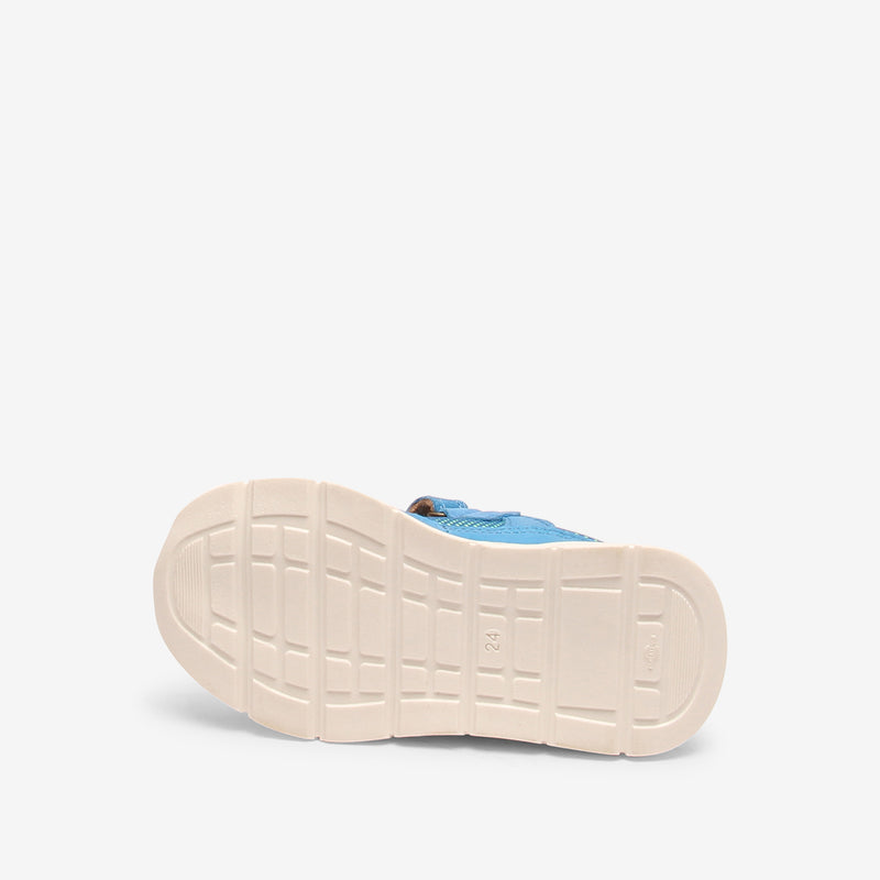 pax e cobalt - Blau