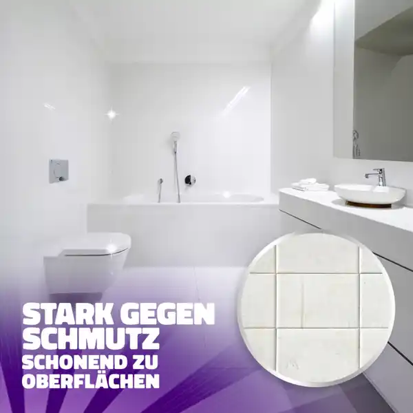 Expert Kraftreiniger Kalk & Schmutz
