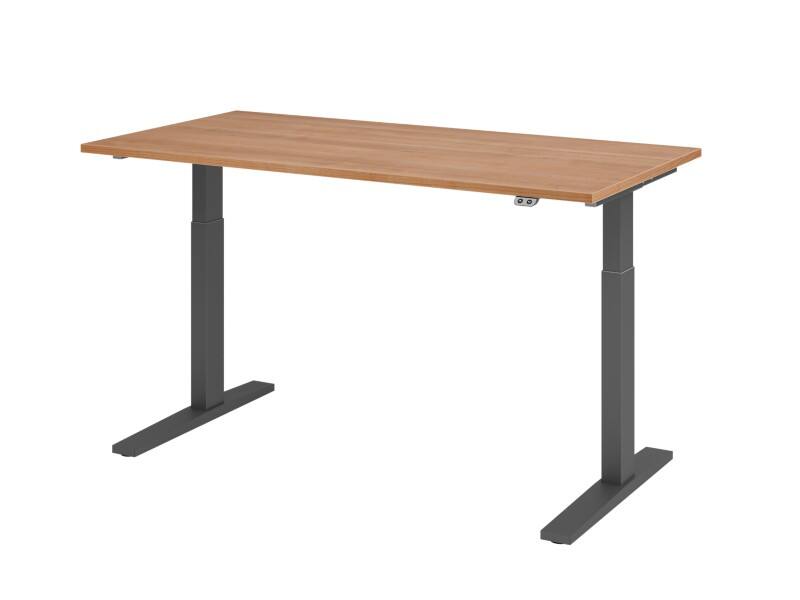 Hammerbacher Steh-Sitz-Schreibtisch VXMKA16/N/G Walnuss 1600 x 800 mm