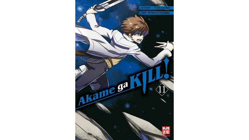 Akame ga KILL! 11