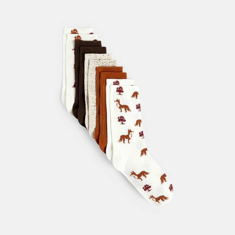 Chaussettes fantaisie (lot de 5) multicolores Garçon