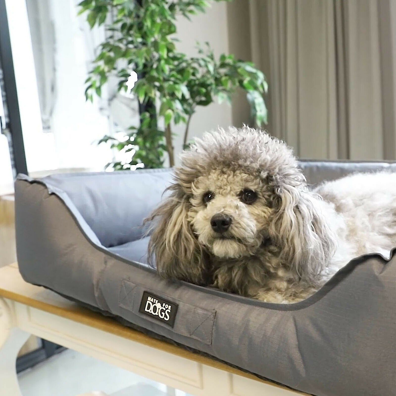 Mate for dogs Tierbett Hundebett Pepon, verschiedene Größen waschbar und wasserabweisend
