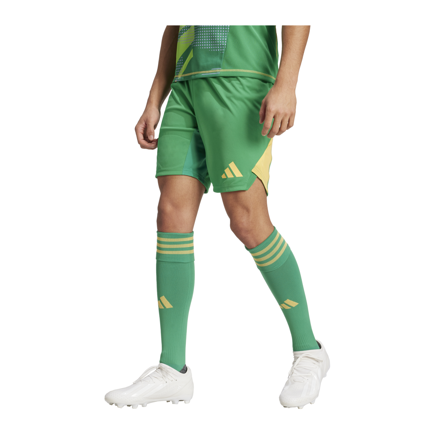 adidas Tiro 24 Pro Torwartshort Grün