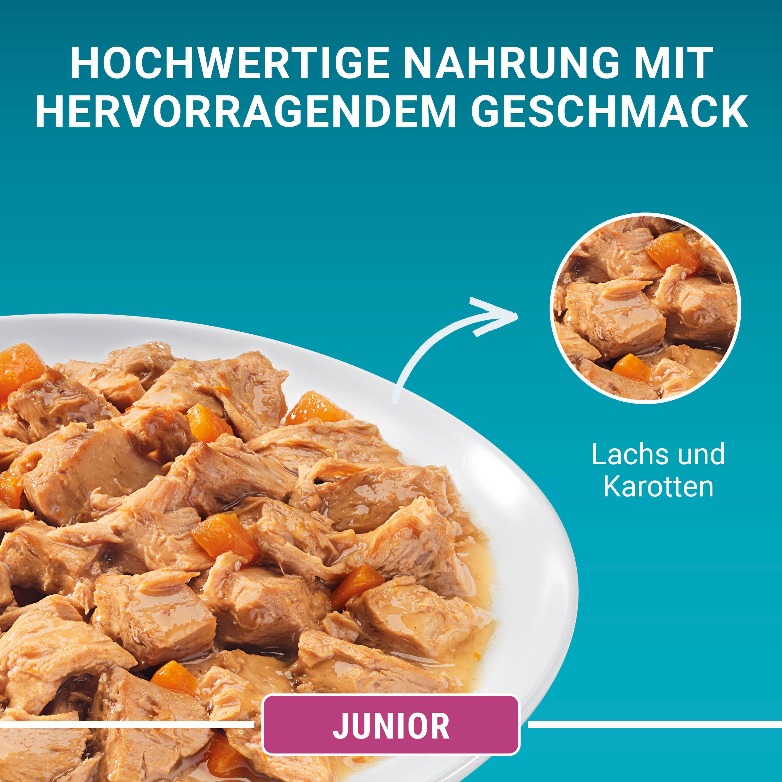 Purina ONE Nassfutter Purina ONE Junior Kittenfutter nass zarte Stückchen in Sauce Lachs 48x85g