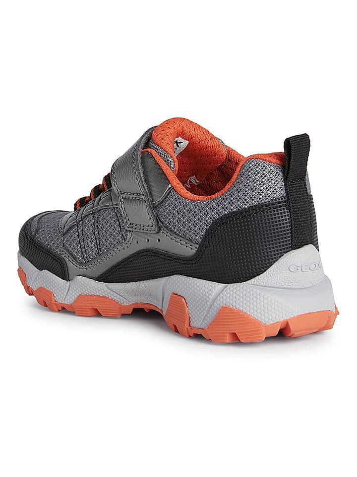 Geox Sneakers 