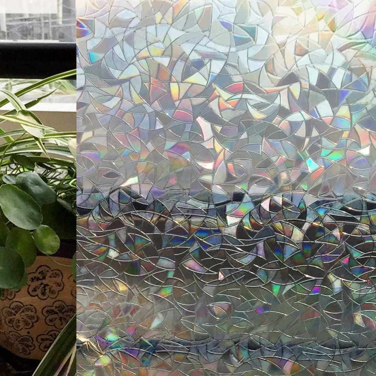 Fensterfolie Fensterfolie Selbsthaftend Regenbogen Folie Fenster Sichtschutz, JedBesetzt