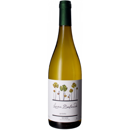 LUNA BEBERIDE GODELLO 2021 - BODEGA Y VIÑEDOS LUNA BEBERIDE