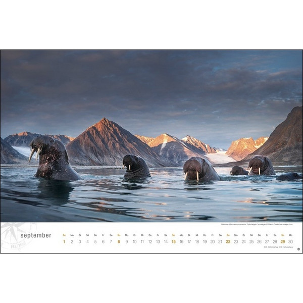 HURTIGRUTEN GLOBETROTTER KALENDER 2024 - Kalender