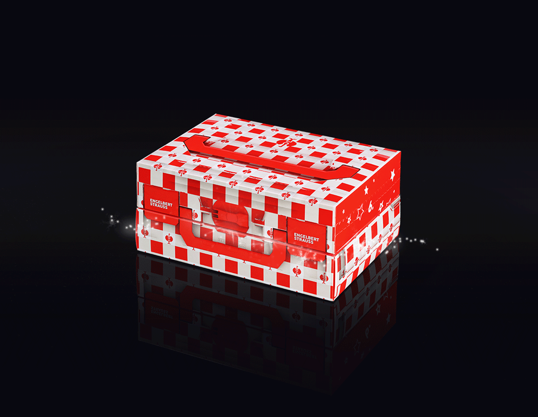 e.s. Adventskalender Edition 5
